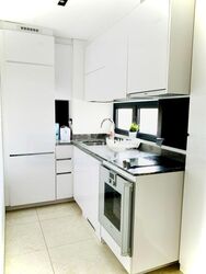 Robinson Suites (D1), Apartment #450775881